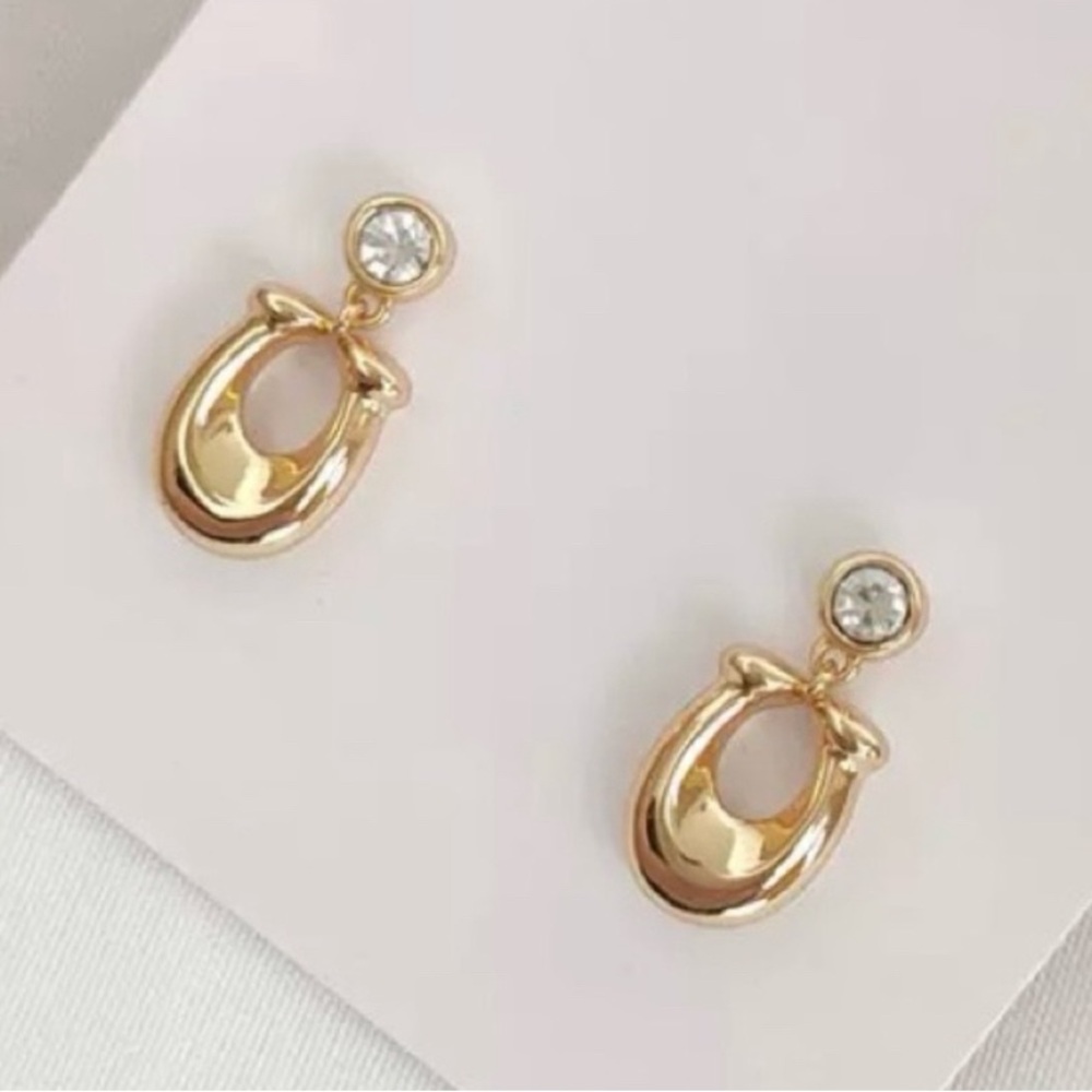 COACH crystal & signature C logo earrings NWT & COACH Dust bag